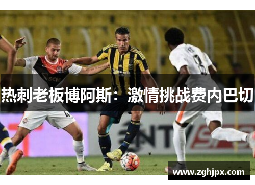热刺老板博阿斯：激情挑战费内巴切